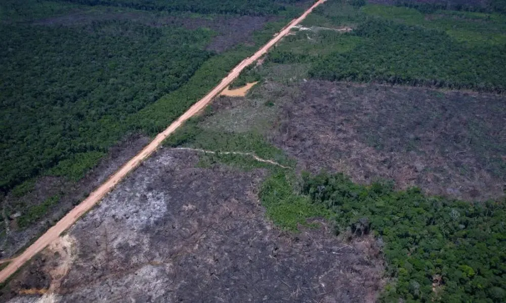 Desmatamento na Amazônia registra novo recorde de baixa