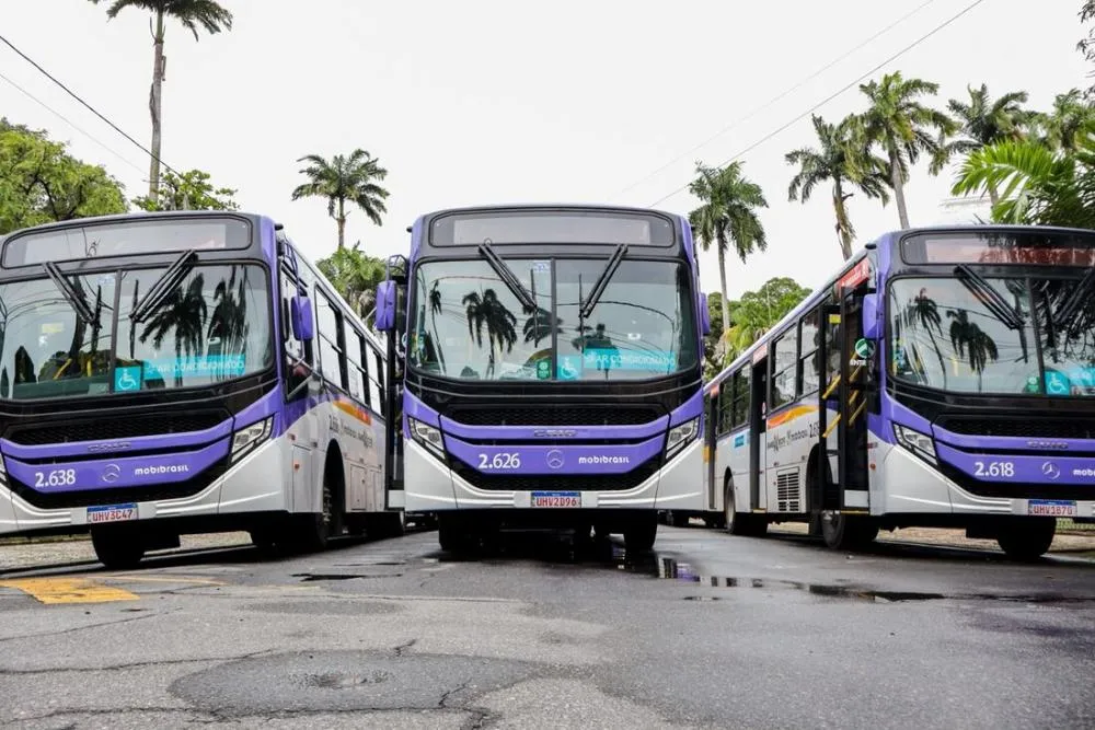 Grande Recife lança Rumo, plataforma de informações para passageiros de ônibus na RMR